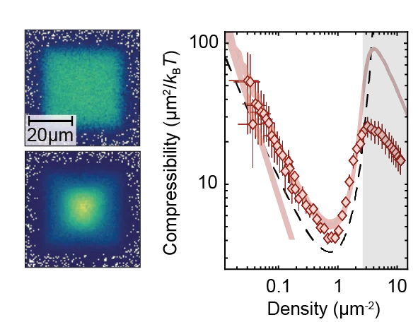 Compressibility and equation of state of an optical quantum gas