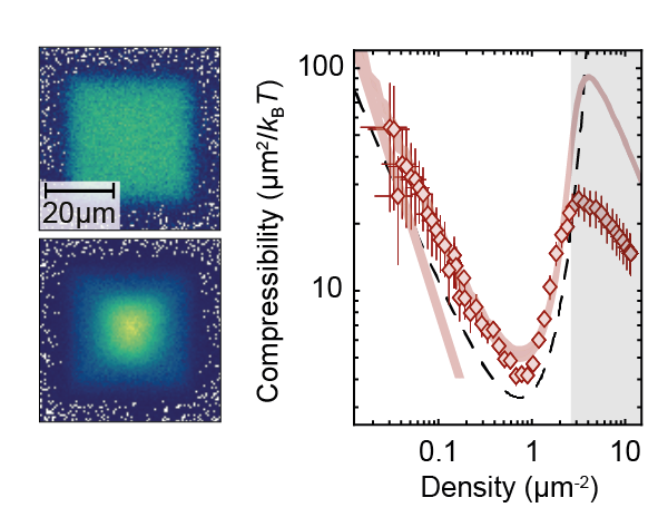 Compressibility and equation of state of an optical quantum gas