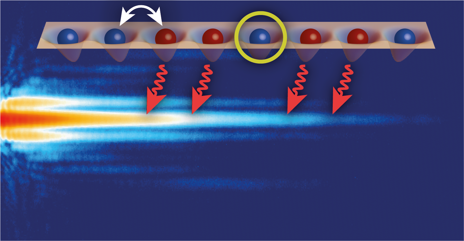 Observation of topological edge state in a plasmon polariton lattice with spatially controlled loss (red) and without loss (blue)